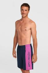 O'Neill Retro 19'' Swimshorts English Evening Colour Block