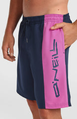 O'Neill Retro 19'' Swimshorts English Evening Colour Block