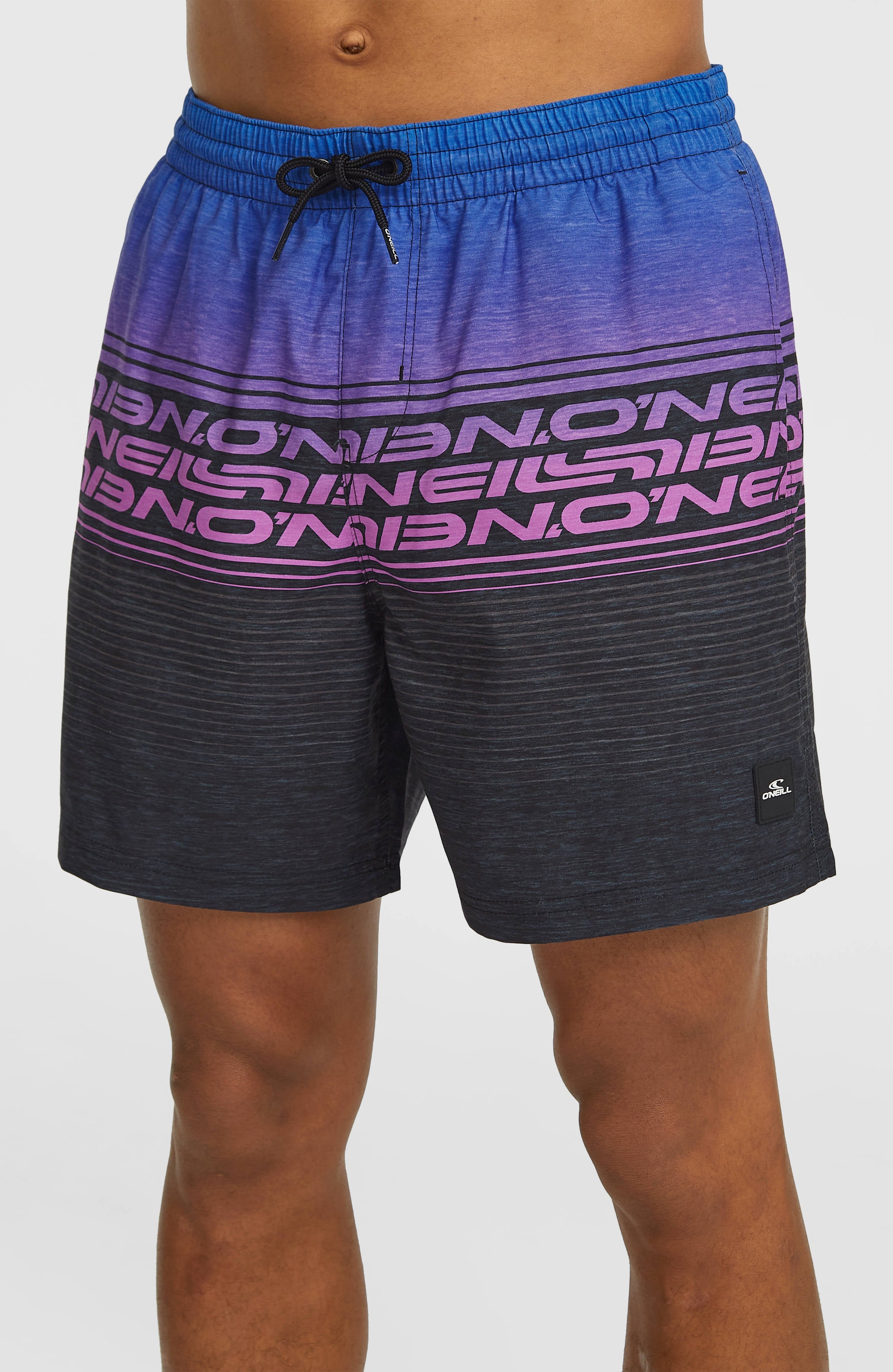 Logo Stripe 16'' Swimshorts Blue Heritage O'Neill Stripe
