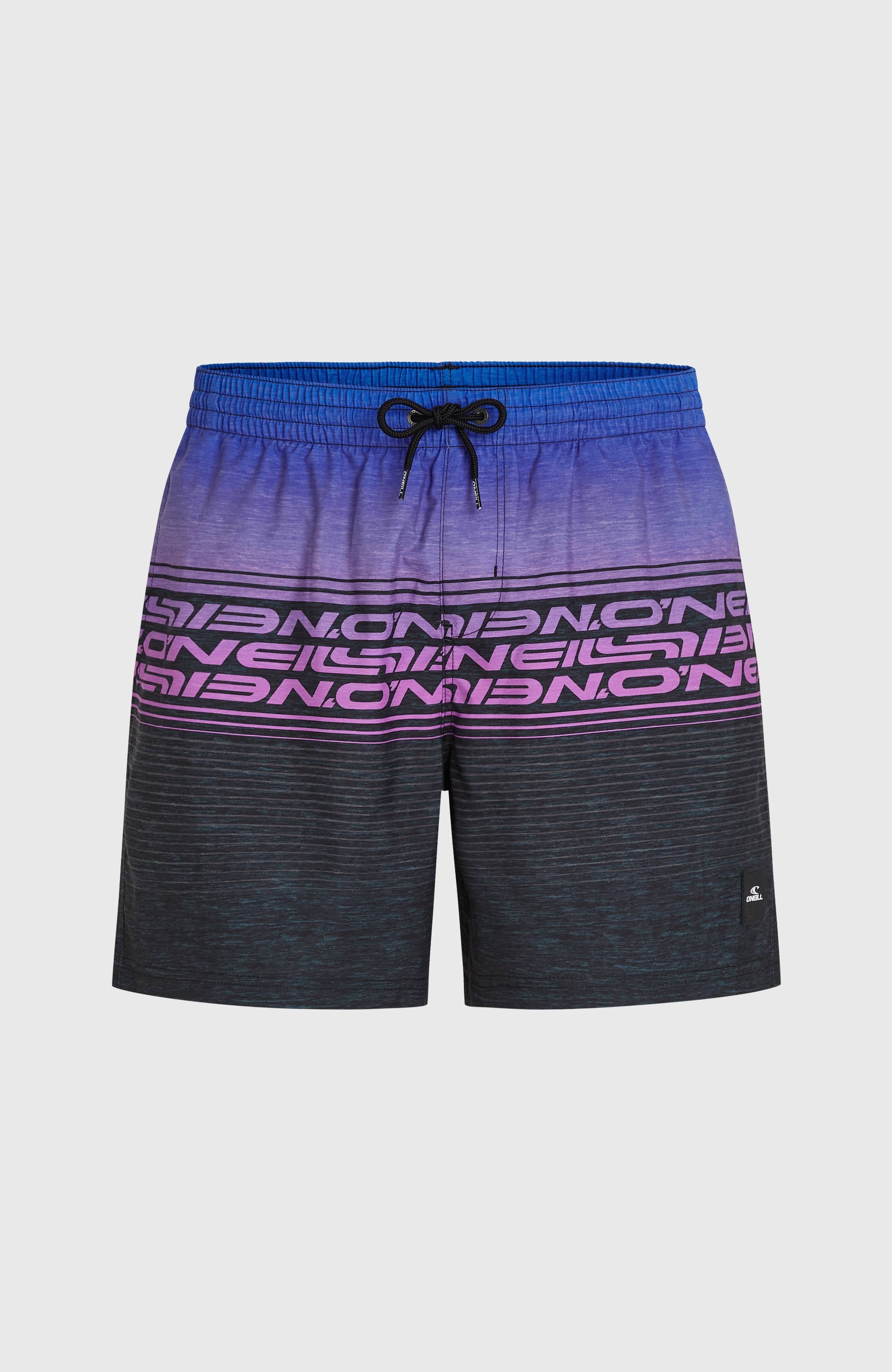 Logo Stripe 16'' Swimshorts Blue Heritage O'Neill Stripe