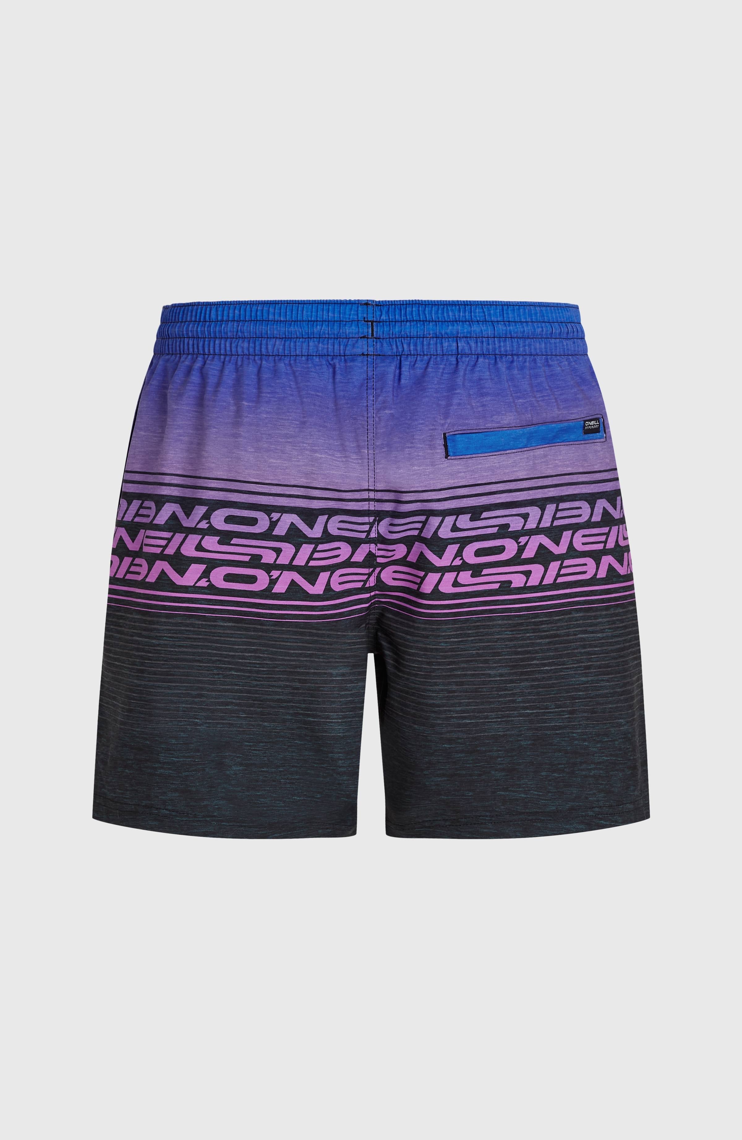 Logo Stripe 16'' Swimshorts Blue Heritage O'Neill Stripe
