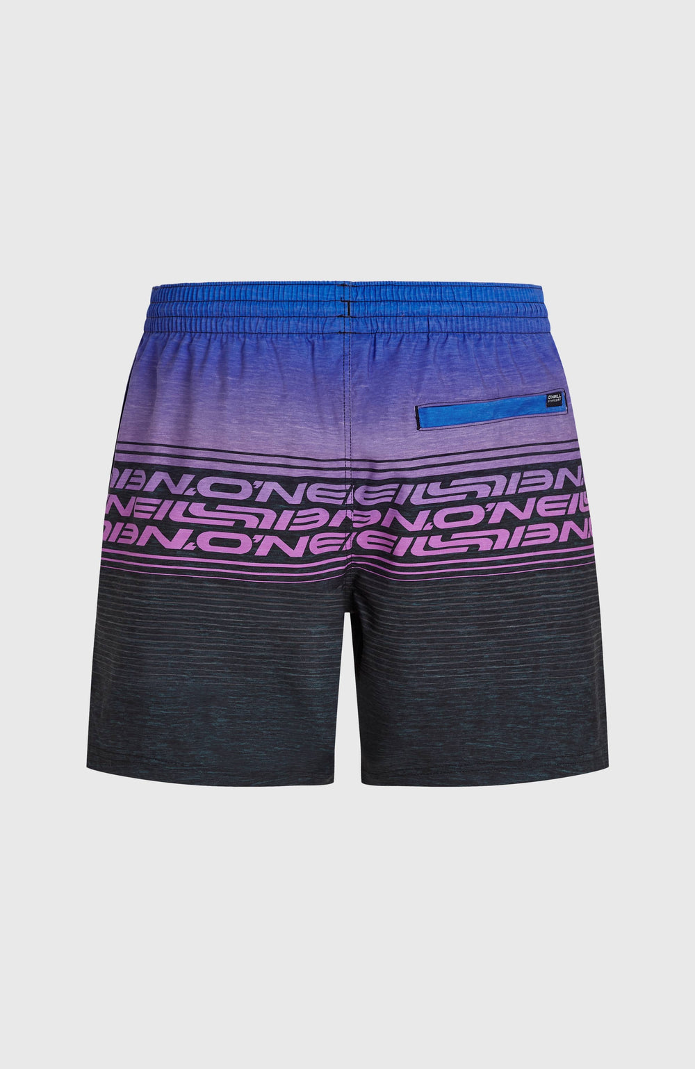 Logo Stripe 16'' Swimshorts Blue Heritage O'Neill Stripe