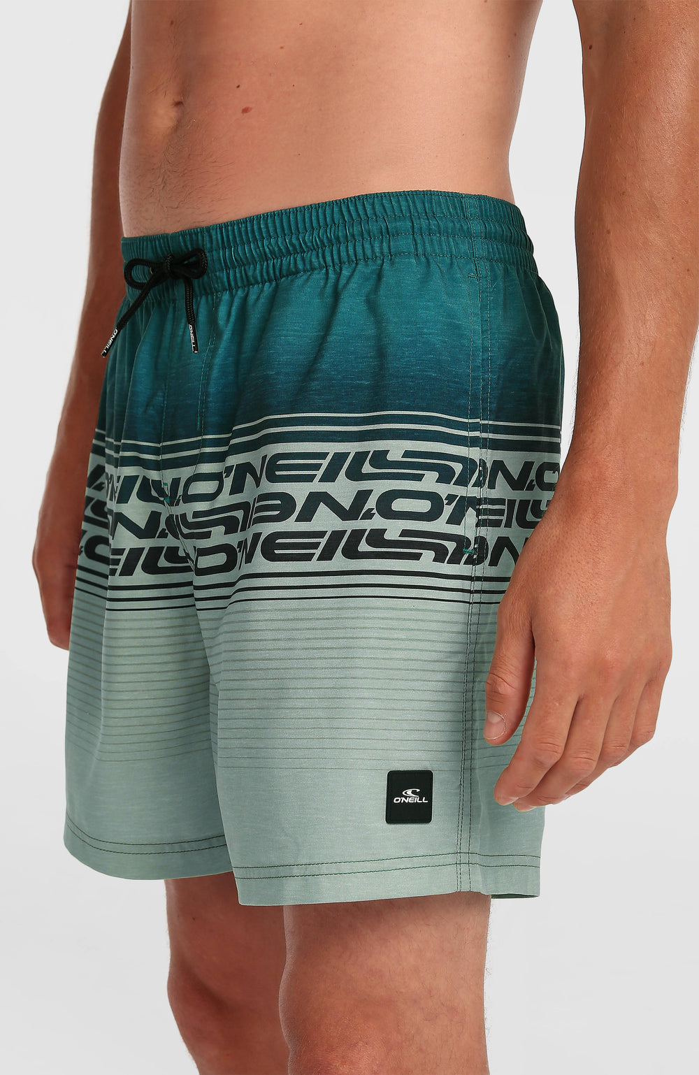 Logo Stripe 16'' Swimshorts Green Heritage Stripe