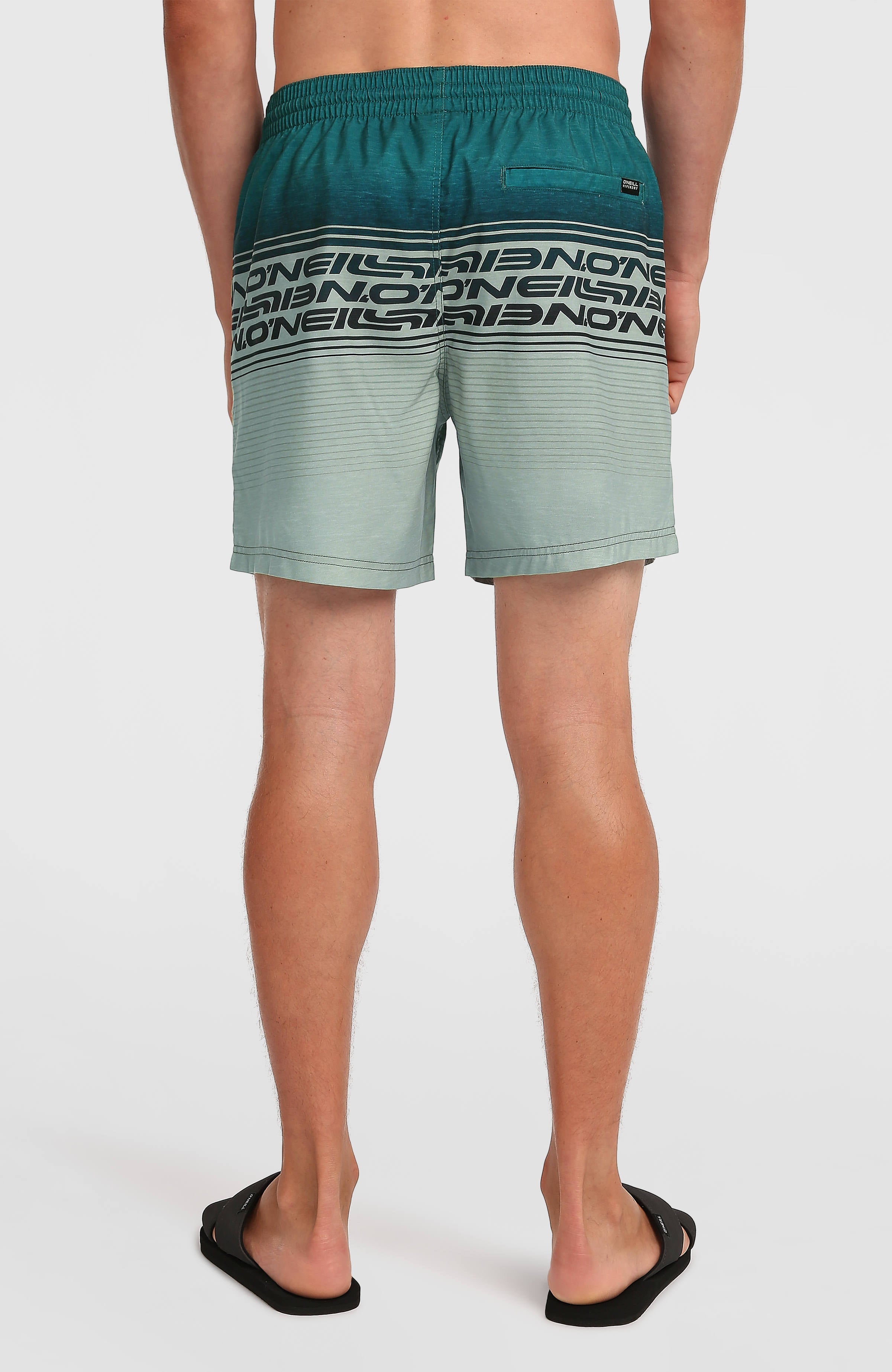 Logo Stripe 16'' Swimshorts Green Heritage Stripe