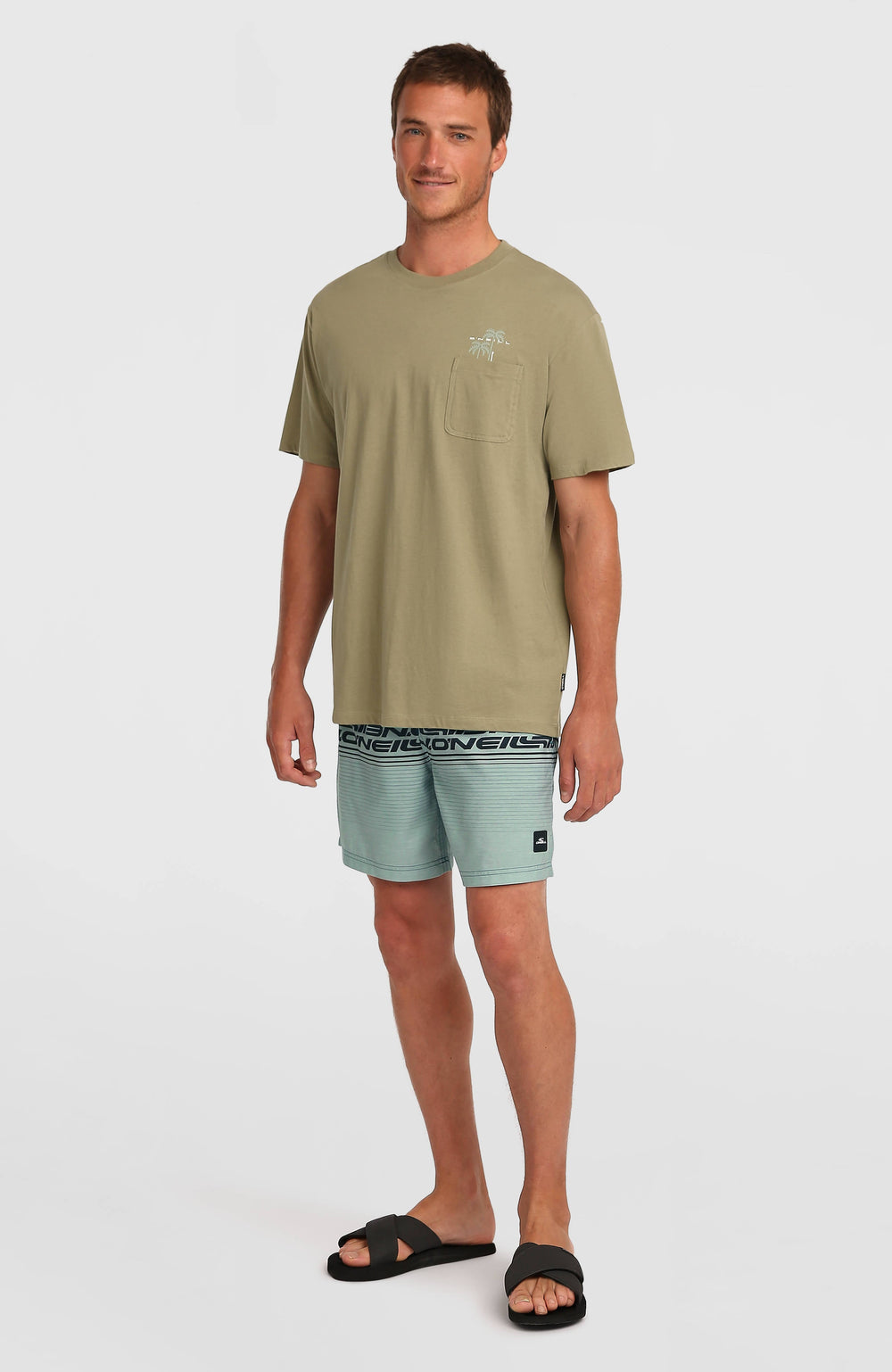Logo Stripe 16'' Swimshorts Green Heritage Stripe