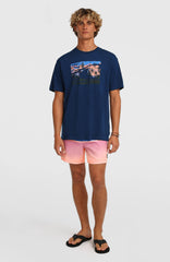 O’Neill Gradient 15'' Swimshorts Blue Gradient Stripe