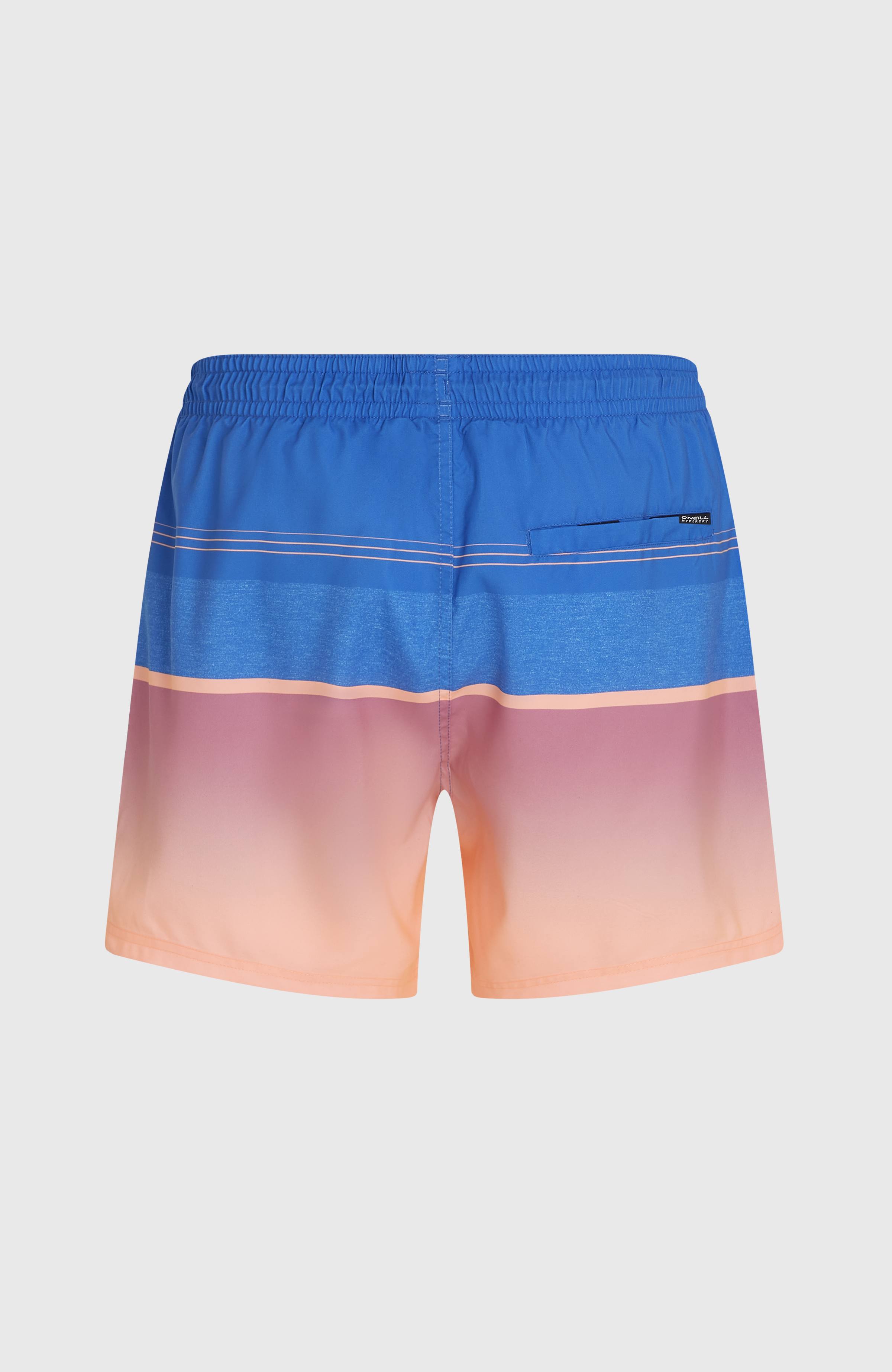 O’Neill Gradient 15'' Swimshorts Blue Gradient Stripe