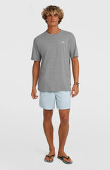 O'Neill Vert 16'' Swimshorts Spindle