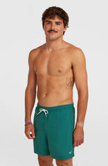 O'Neill Vert 16'' Swimshorts Botanical Heat