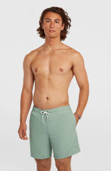 O'Neill Vert 16'' Swimshorts Marble Arch