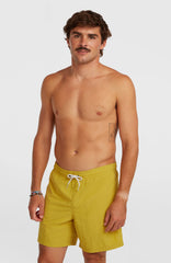 O'Neill Vert 16'' Swimshorts Angel Fern