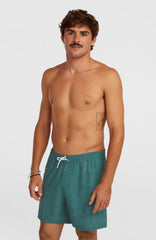 O'Riginals Cali Ocean 16'' Swimshorts Green Originals Acid Wash