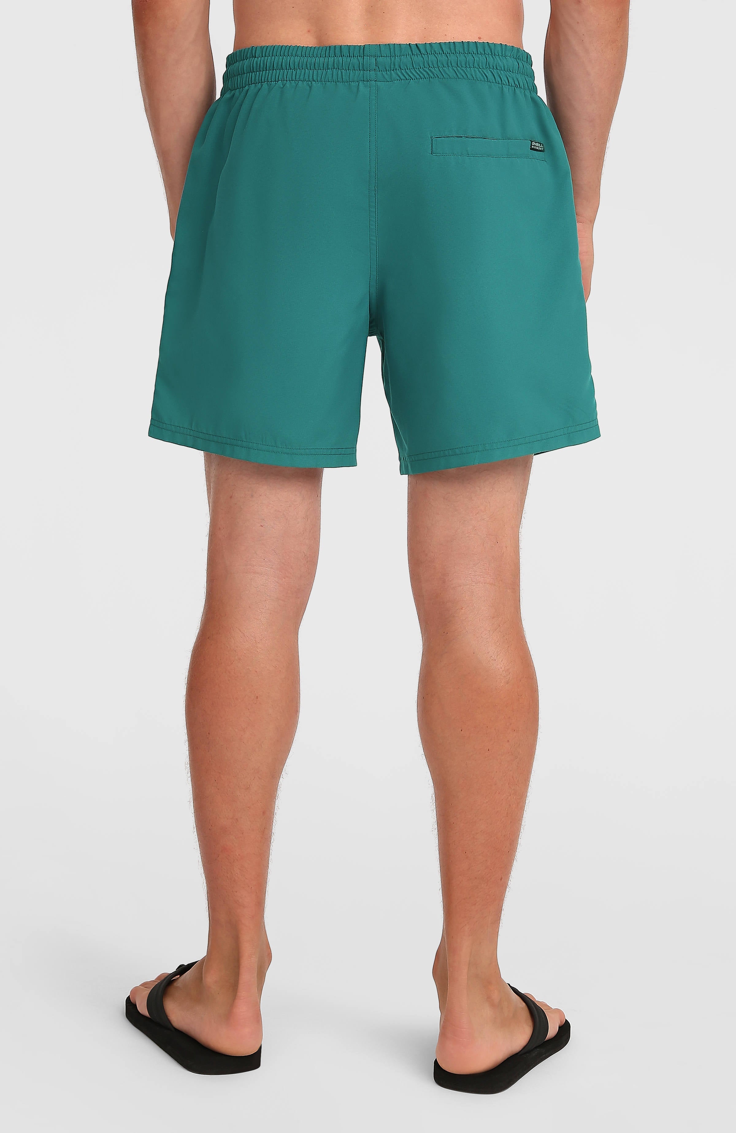 O'Neill Logo 16'' Swimshorts Botanical Heat