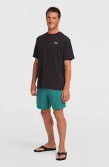 O'Neill Logo 16'' Swimshorts Botanical Heat
