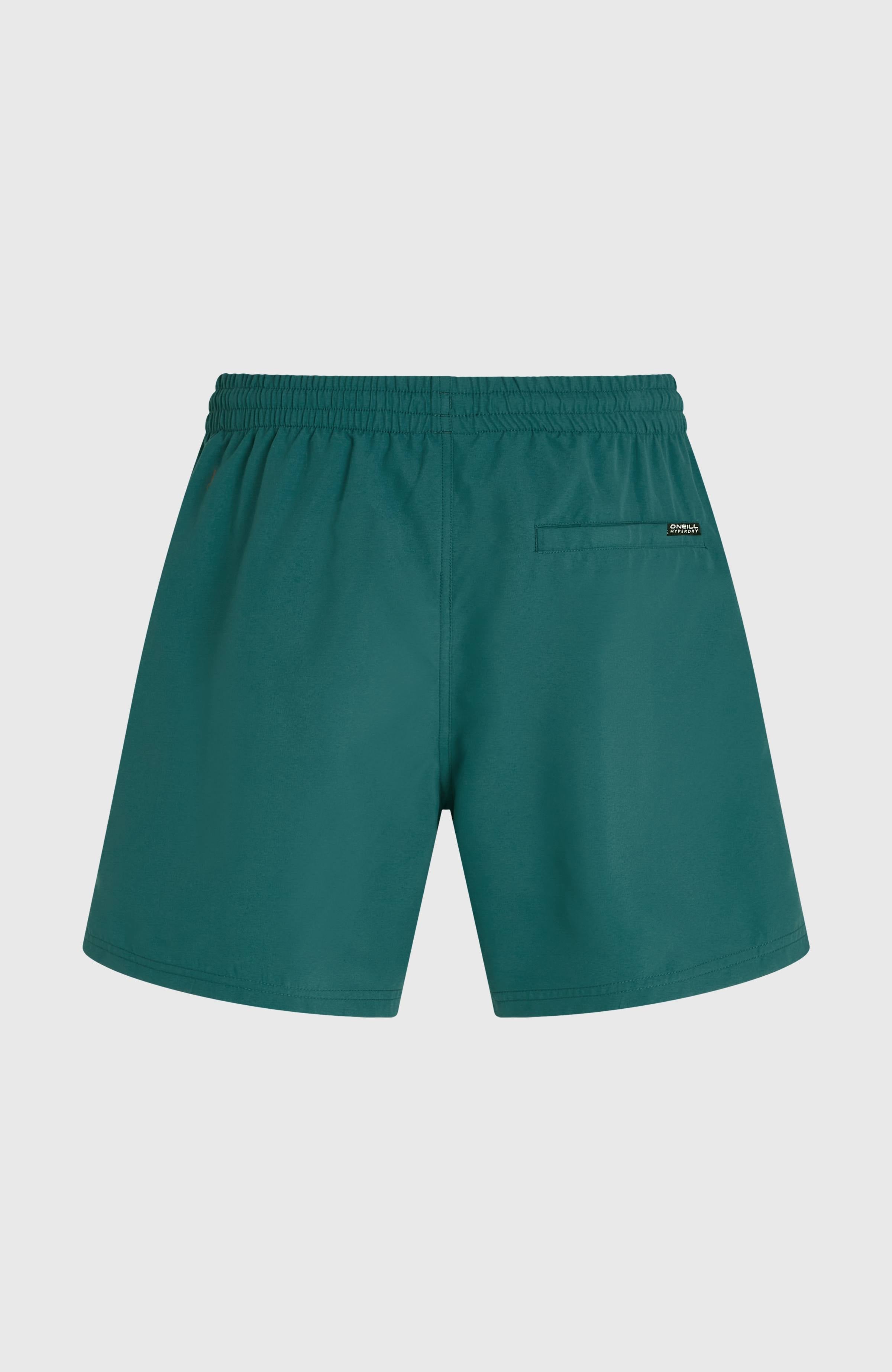 O'Neill Logo 16'' Swimshorts Botanical Heat