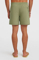 O'Neill Logo 16'' Swimshorts Avery Fern