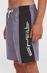 Retro 19'' Swim Shorts Storm Colour Block