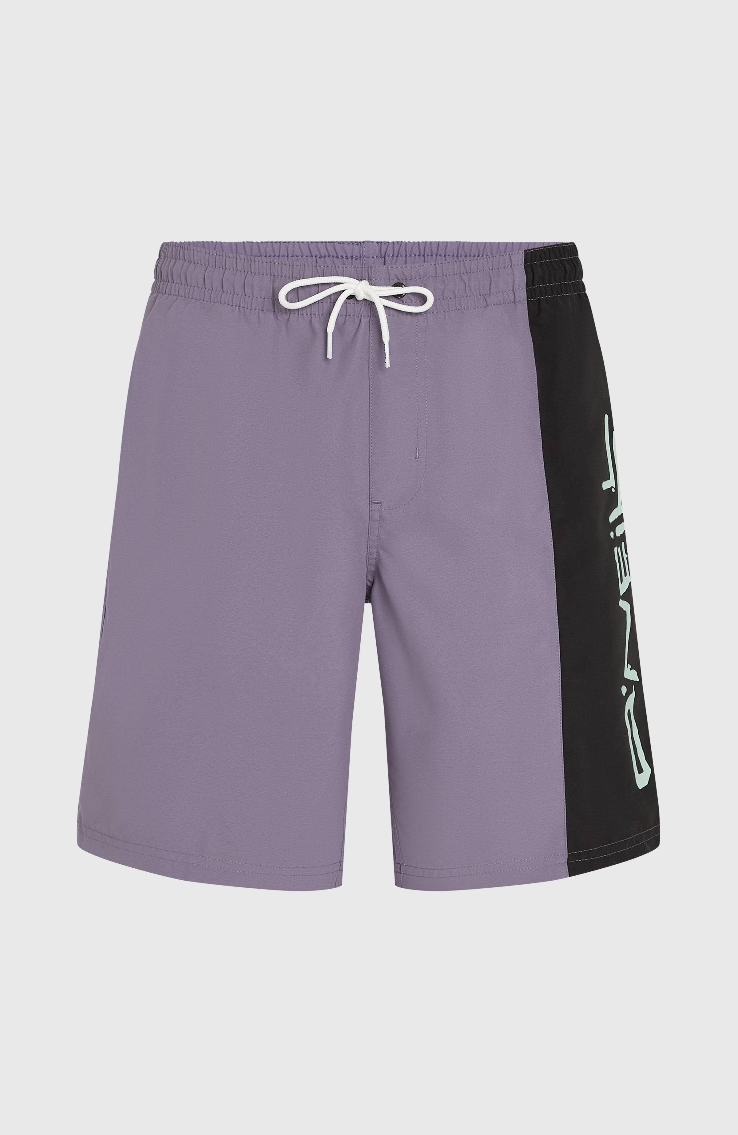 Retro 19'' Swim Shorts Storm Colour Block