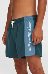 Retro 14'' Swim Shorts Alma Steel Colour Block
