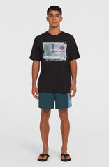 Retro 14'' Swim Shorts Alma Steel Colour Block