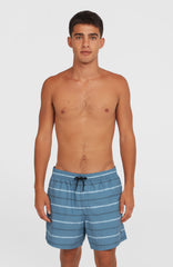 Cali First 15'' Swim Shorts Blue O'Neill Stripe