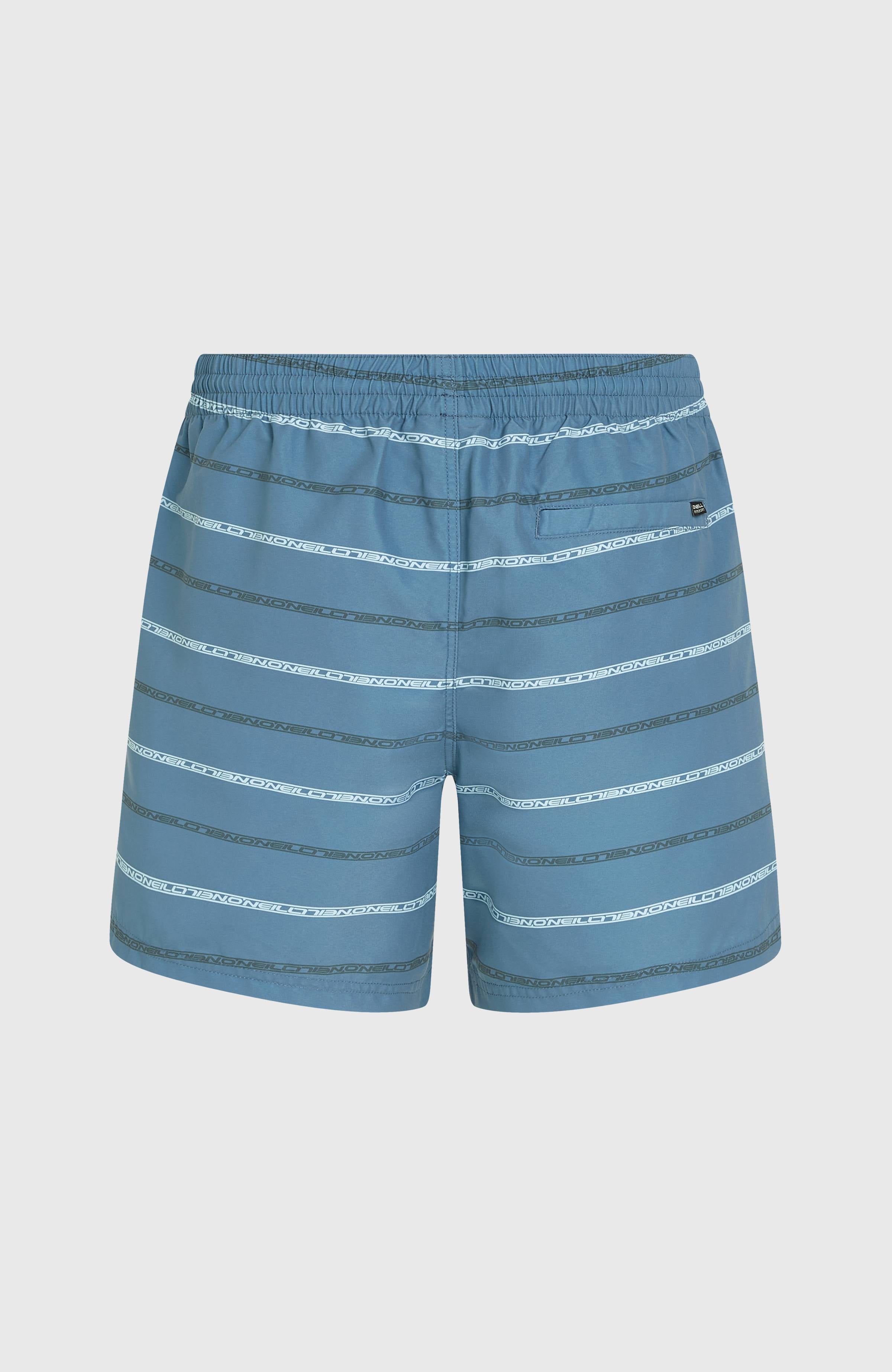 Cali First 15'' Swim Shorts Blue O'Neill Stripe