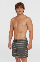 Cali First 15'' Swim Shorts Grey O'Neill Stripe
