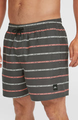 Cali First 15'' Swim Shorts Grey O'Neill Stripe