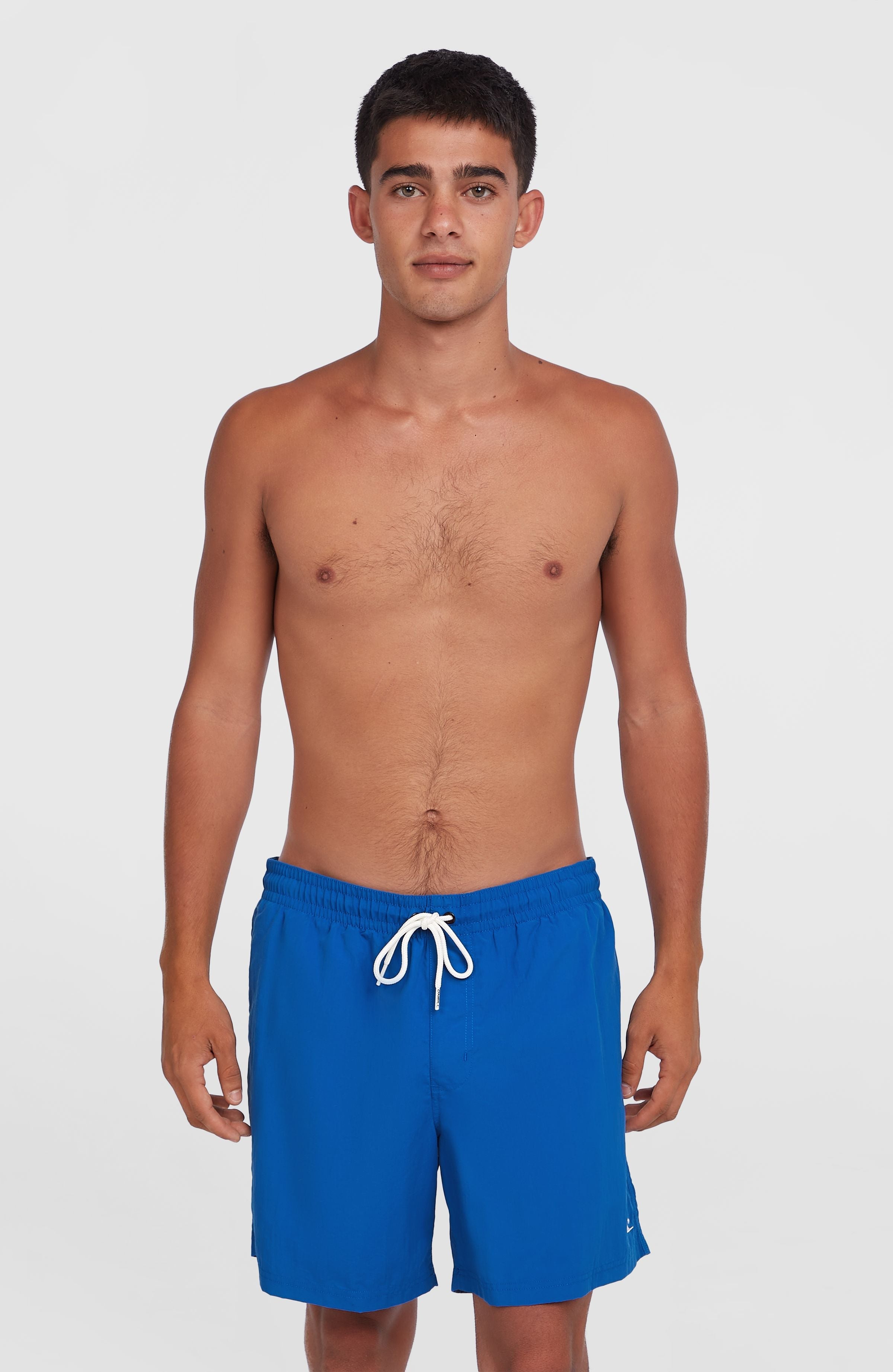 O'Neill Vert 16" Swim Shorts Victoria Blue