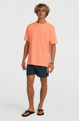 O'Neill Logo 16" Swimshorts Ink Blue