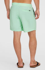 O’Neill Vert 16'' Swim Shorts Mildrew Mint