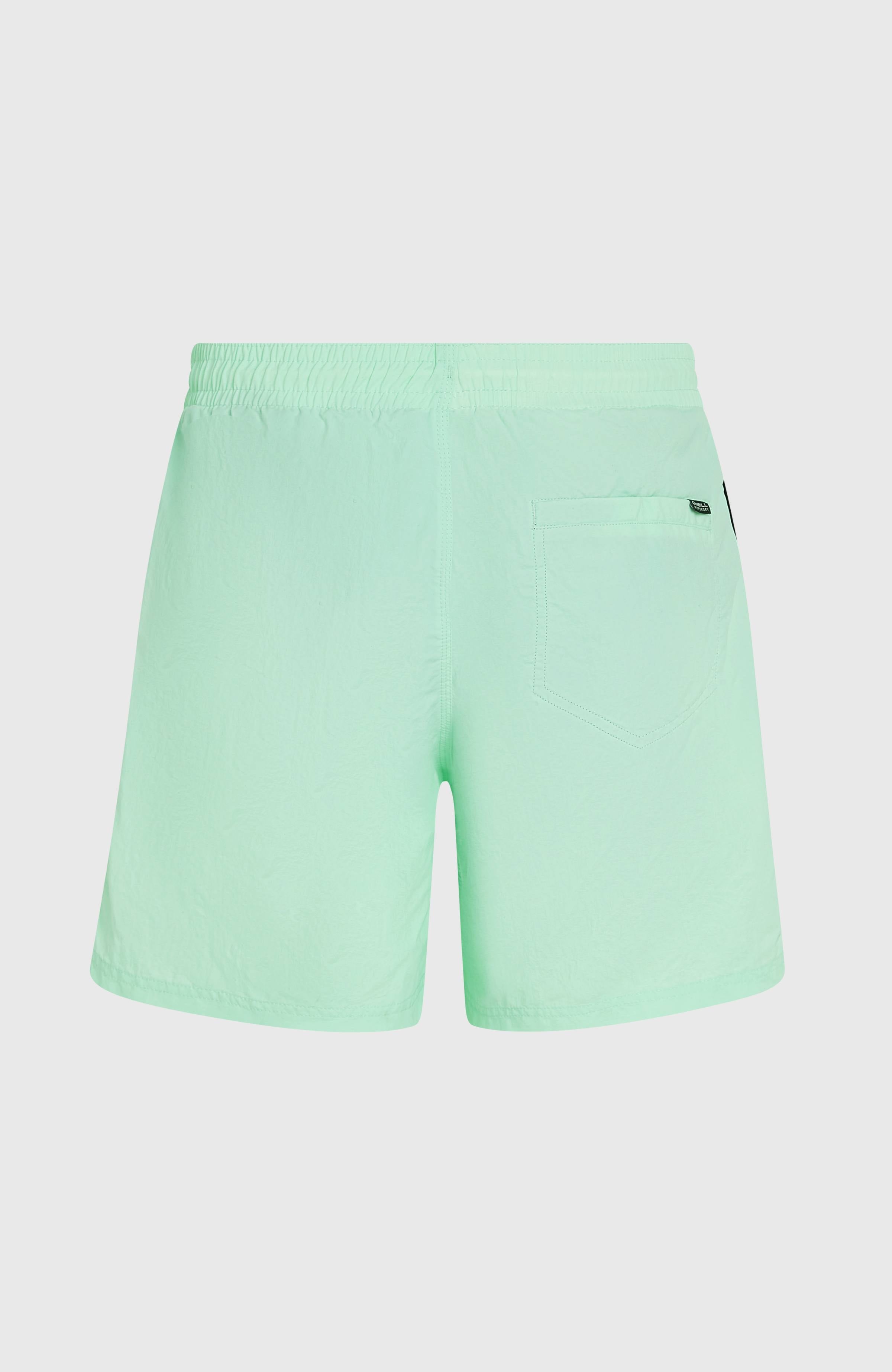 O’Neill Vert 16'' Swim Shorts Mildrew Mint