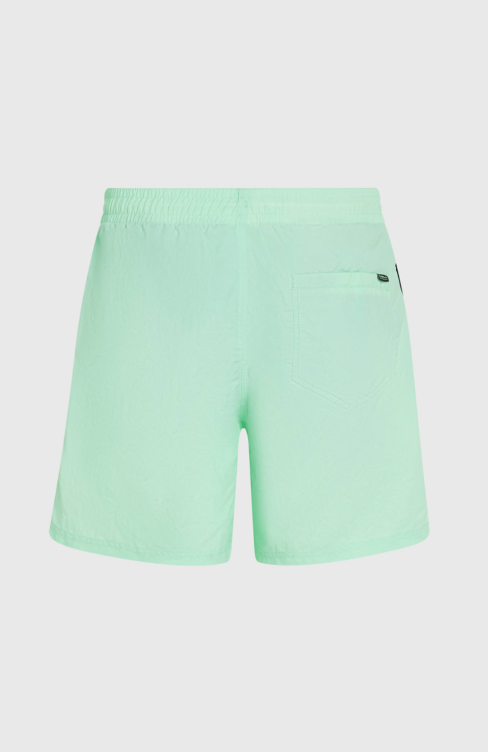 O’Neill Vert 16'' Swim Shorts Mildrew Mint