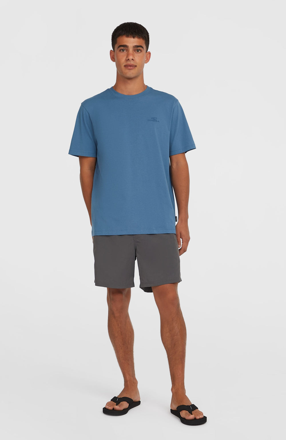 O'Neill Vert 16" Swim Shorts Asphalt