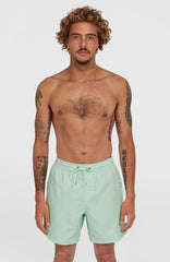Cali 16'' Swim Shorts Mildrew Mint