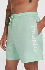 Cali 16'' Swim Shorts Mildrew Mint