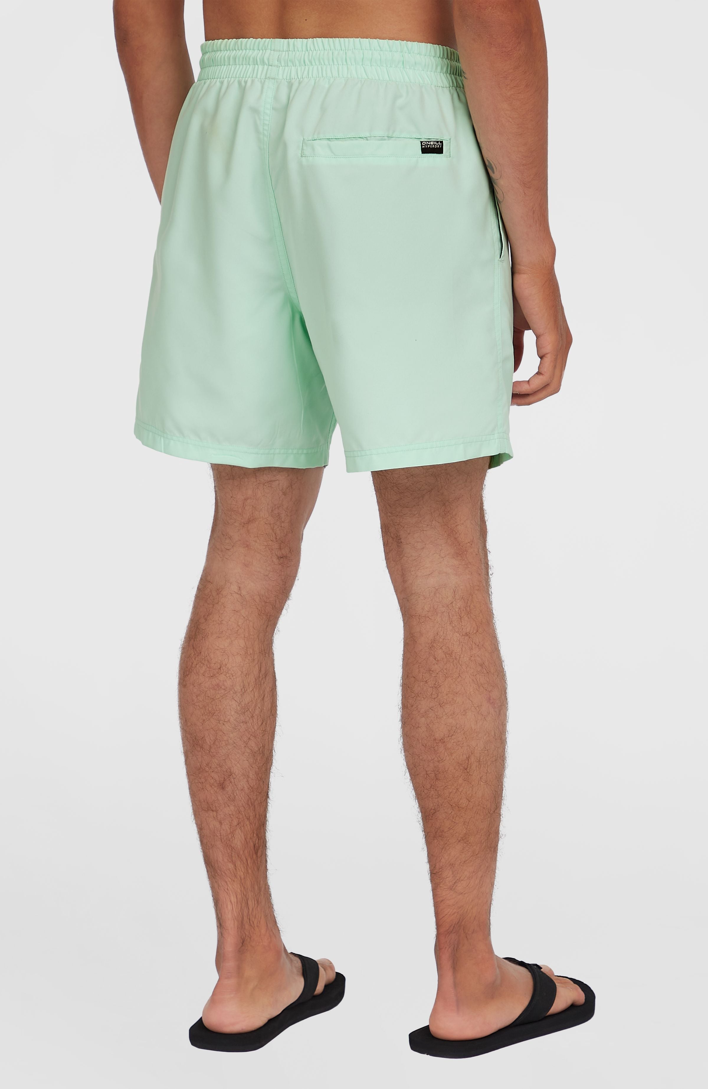 Cali 16'' Swim Shorts Mildrew Mint