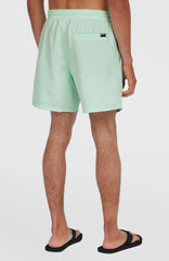 Cali 16'' Swim Shorts Mildrew Mint