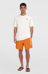Cali 16'' Swim Shorts Cinnamon Stick