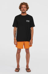 Original Cali 16'' Swim Shorts Cinnamon Stick