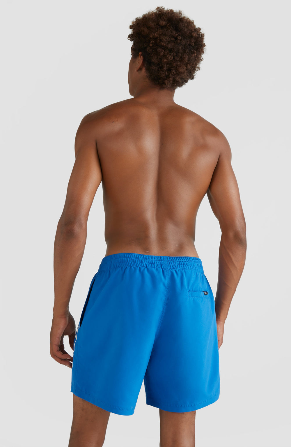 Cali 16" Swim Shorts Victoria Blue