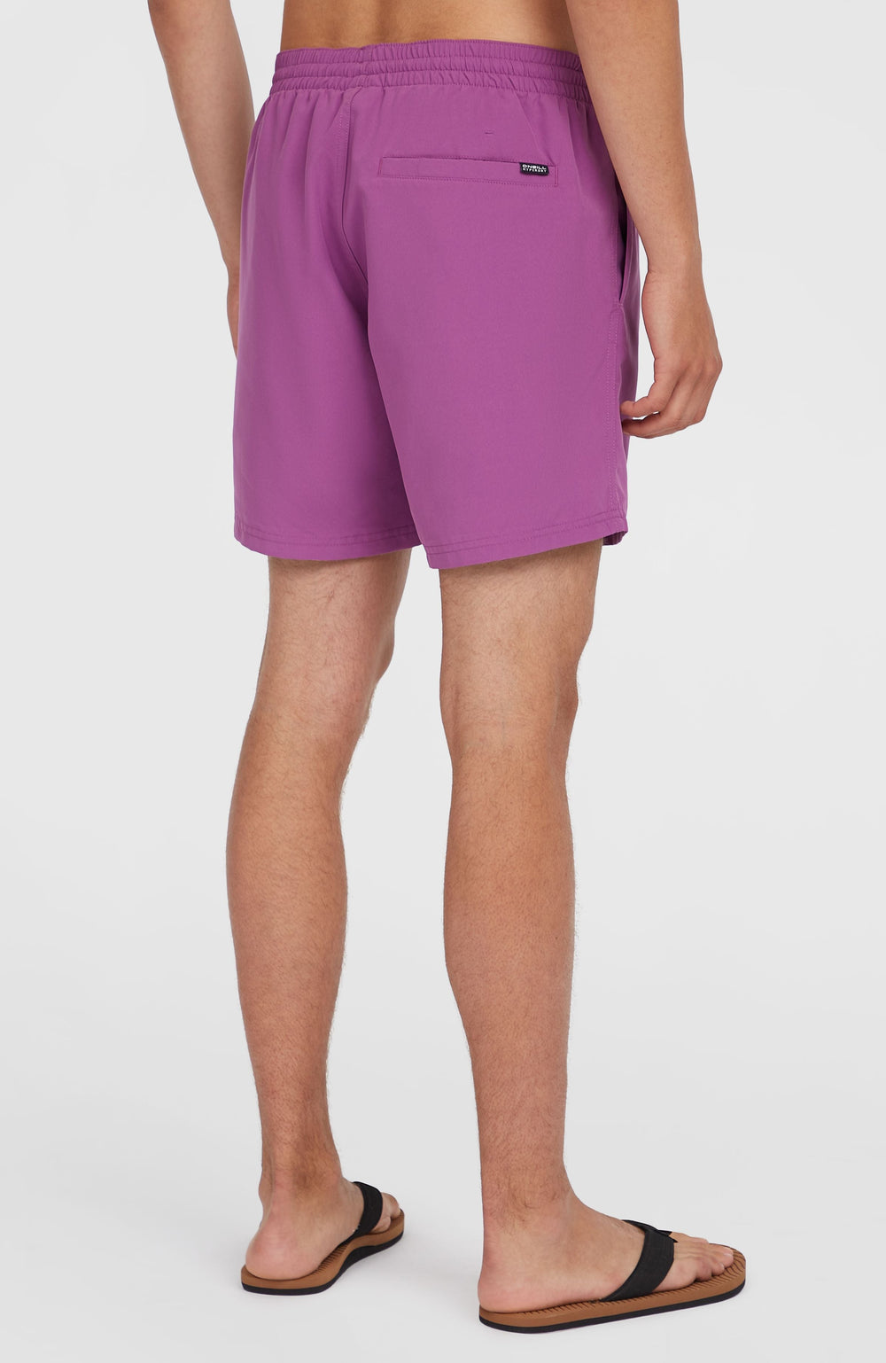 Original Cali 16'' Swim Shorts Sweet Grape