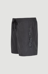Cali 16" Swim Shorts Asphalt