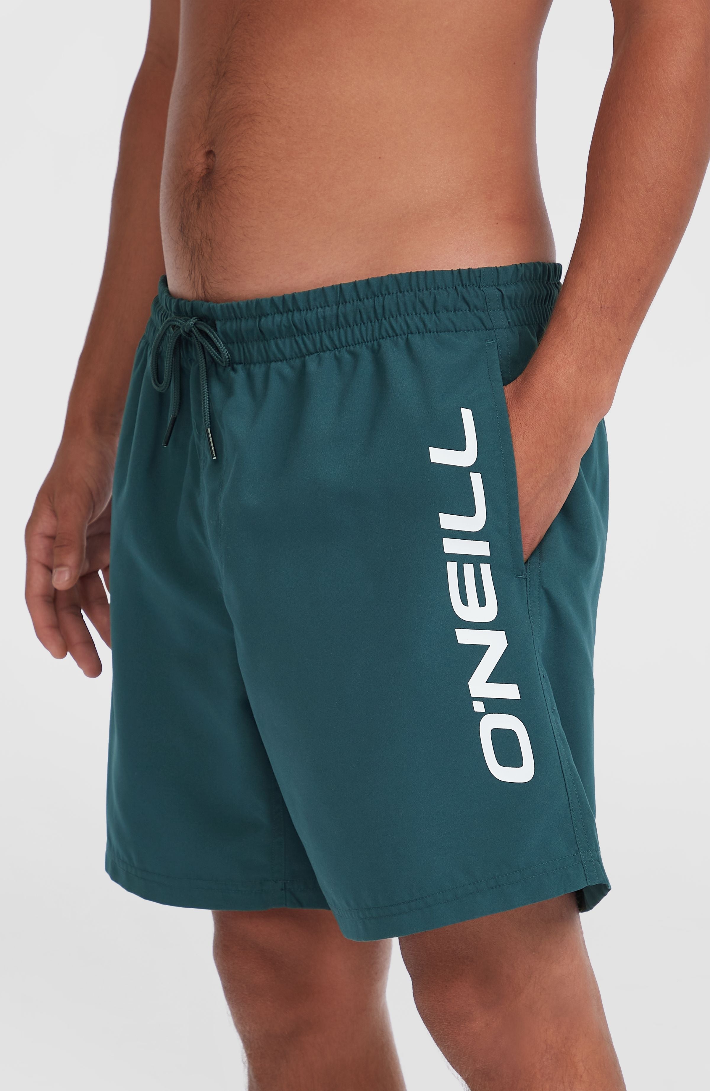 Cali 16'' Swim Shorts Alma Steel
