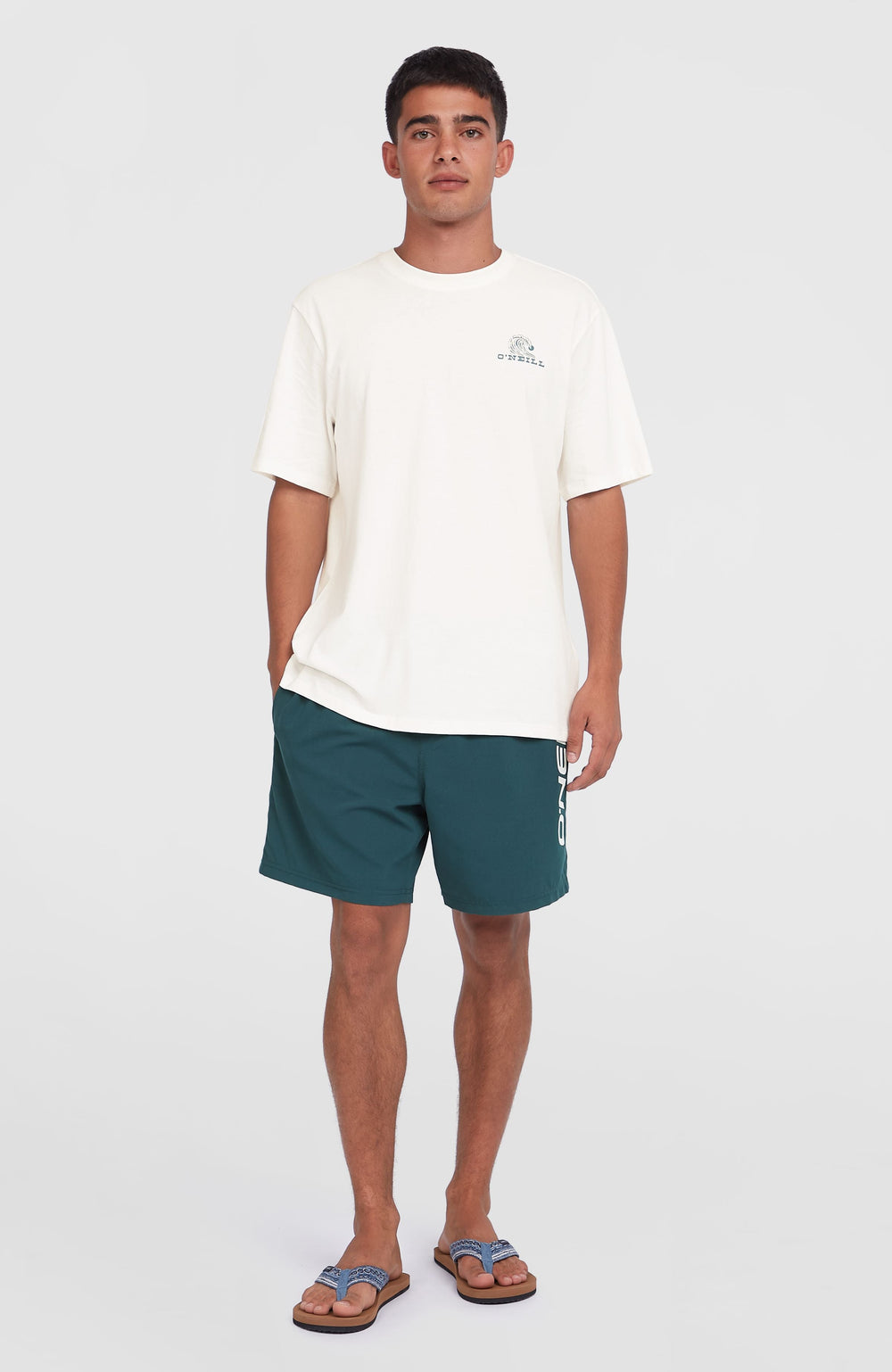 Cali 16'' Swim Shorts Alma Steel