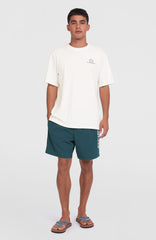Cali 16'' Swim Shorts Alma Steel