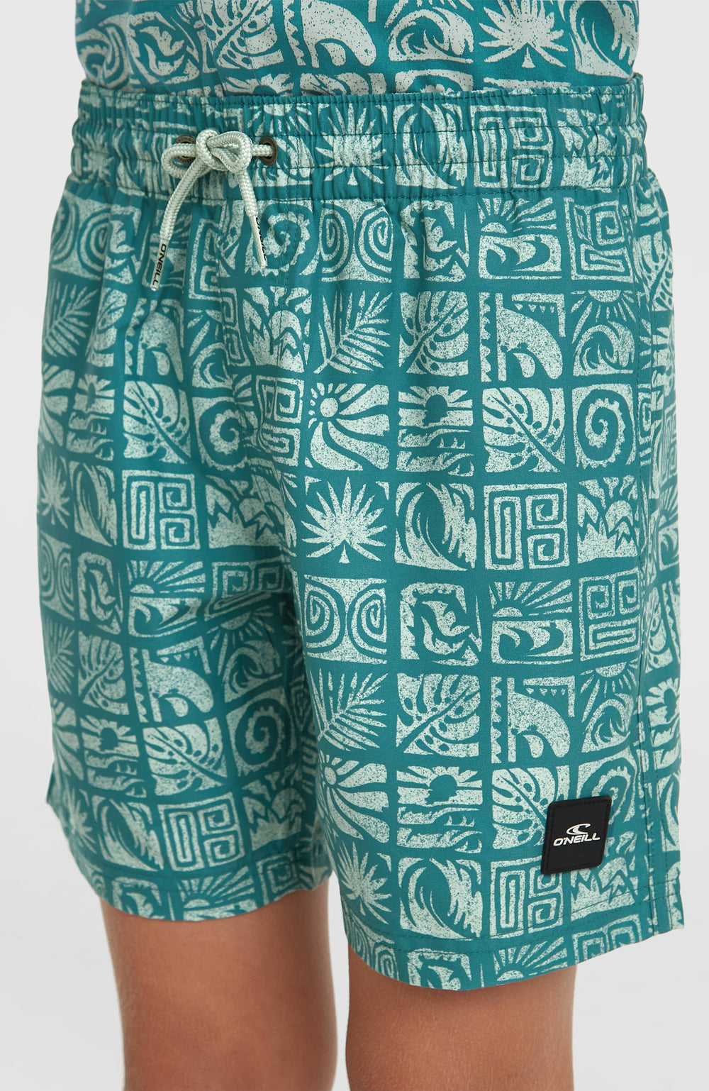 O'Neill Print Swimshorts Blue Bricks