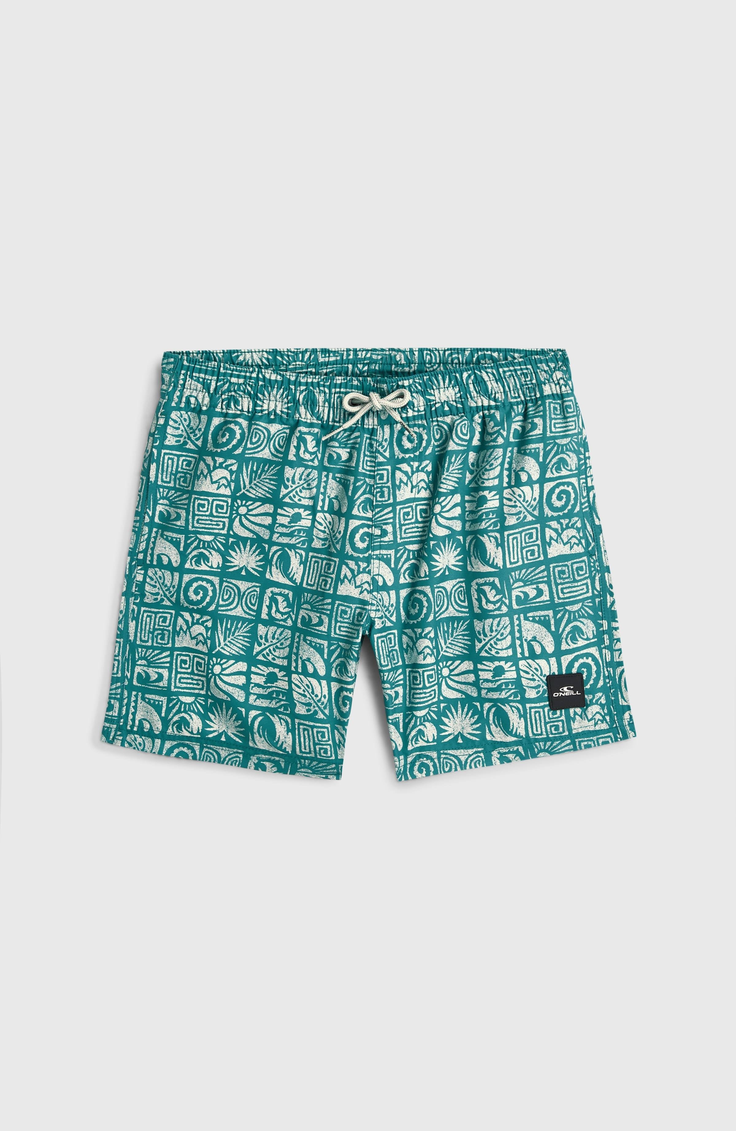 O'Neill Print Swimshorts Blue Bricks