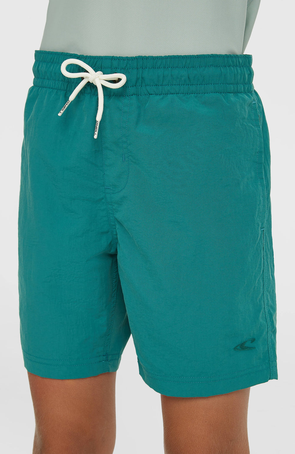 O'Neill Vert Swimshorts Botanical Heat