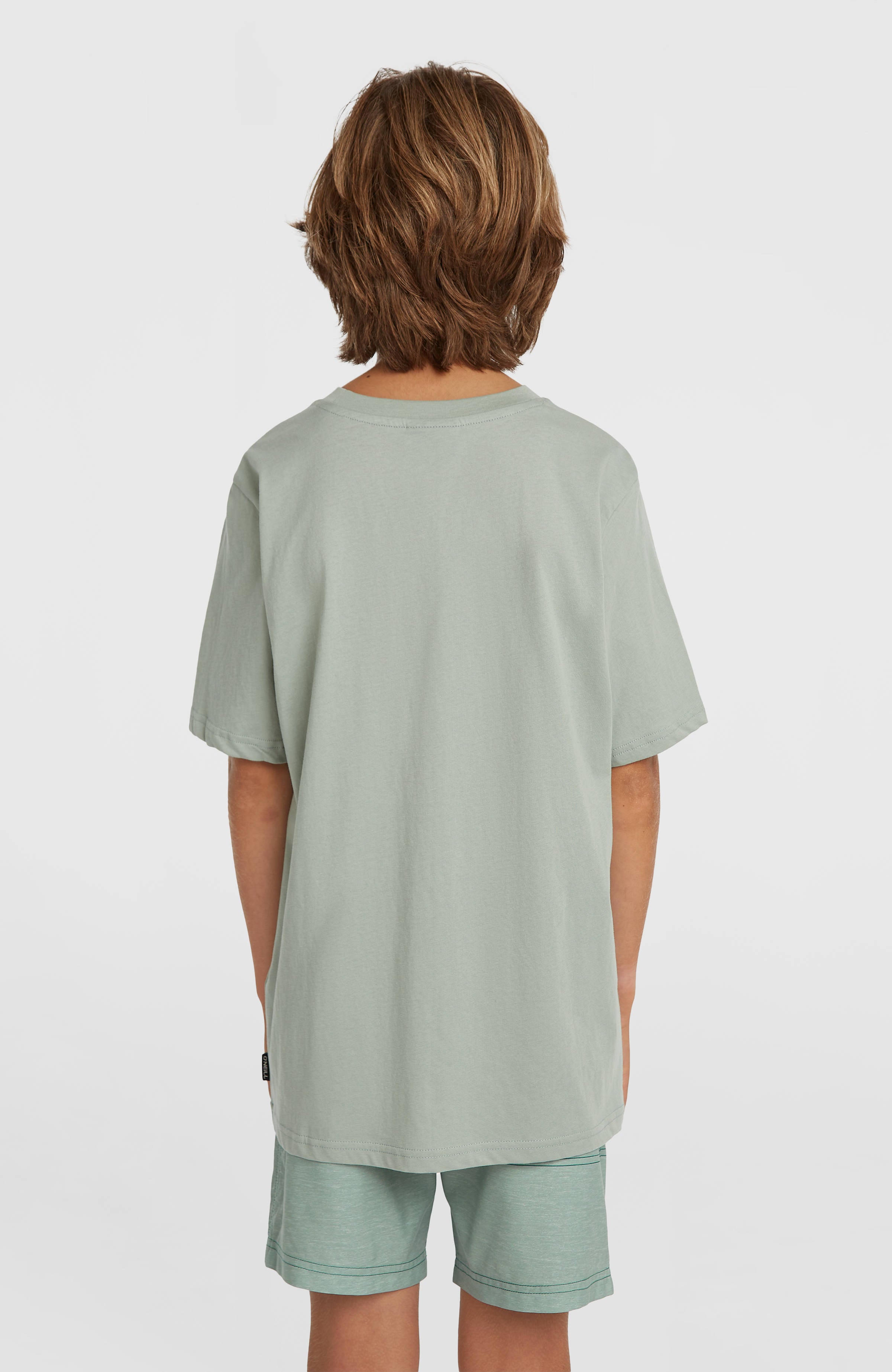 O'Neill Logo Stripe Swimshorts Boys Green Heritage O'Neill